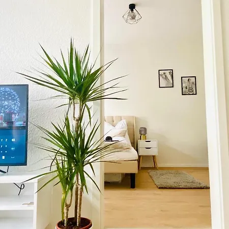 Stilvolles In Zentraler Lage - Smart-tv, Queensize-bett, Altbaustil, Kueche In City-naehe Erfurt